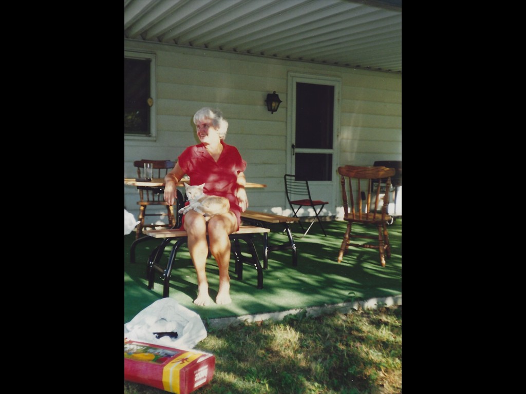 Back Porch On Spring Grove