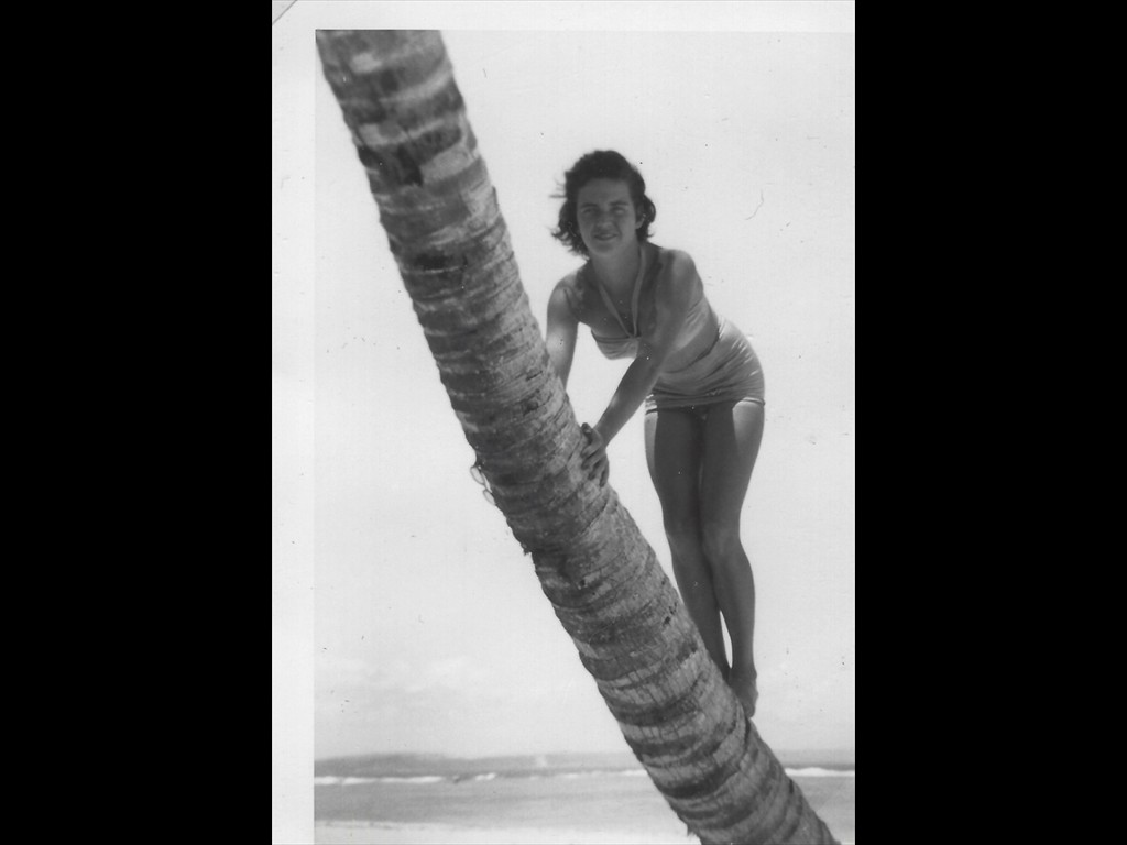 Bobbi In Guan - Climbin Palm Tree