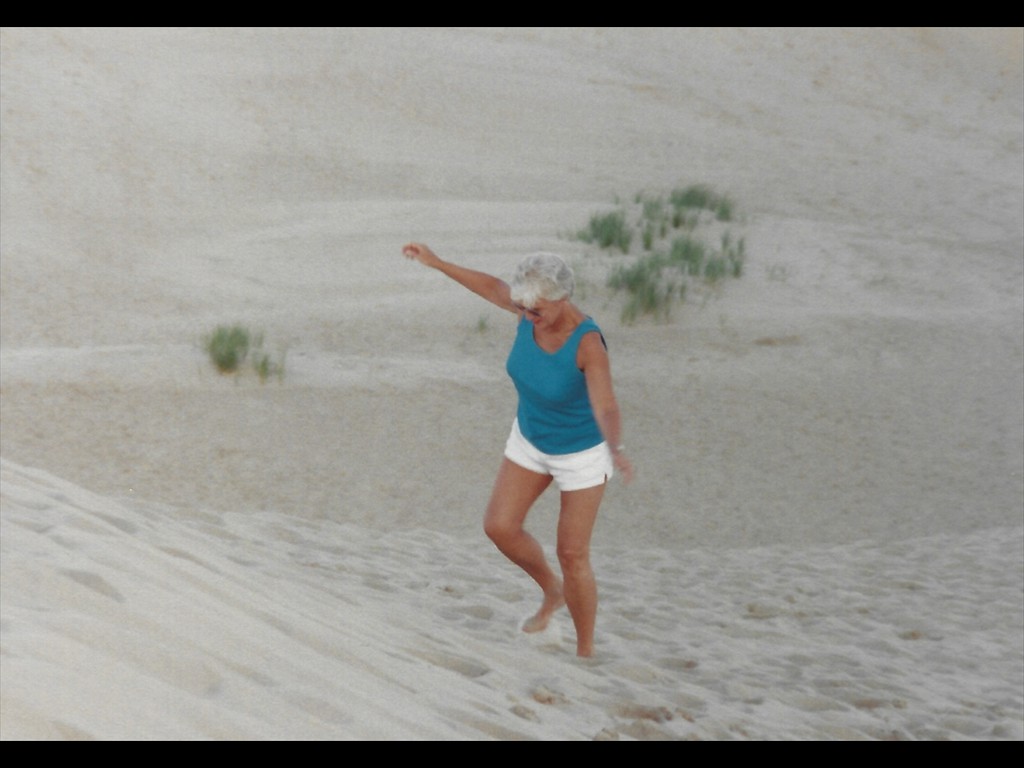 Nags Head Dunes