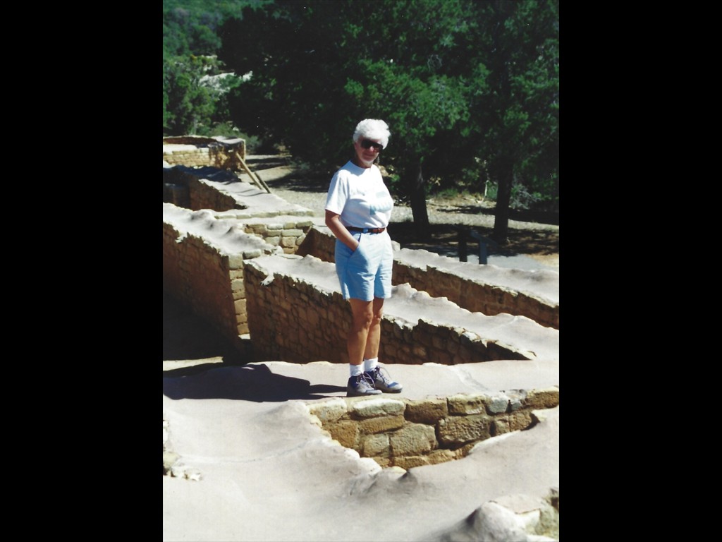 New Mexico Fort 1992