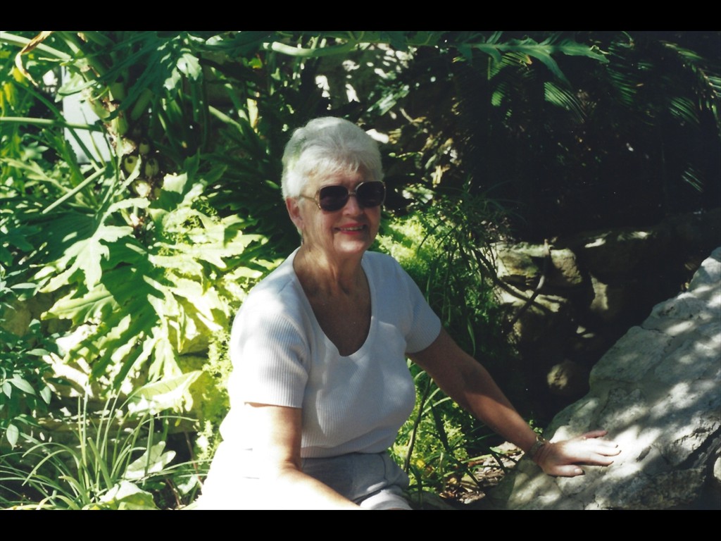 San Antonio 1