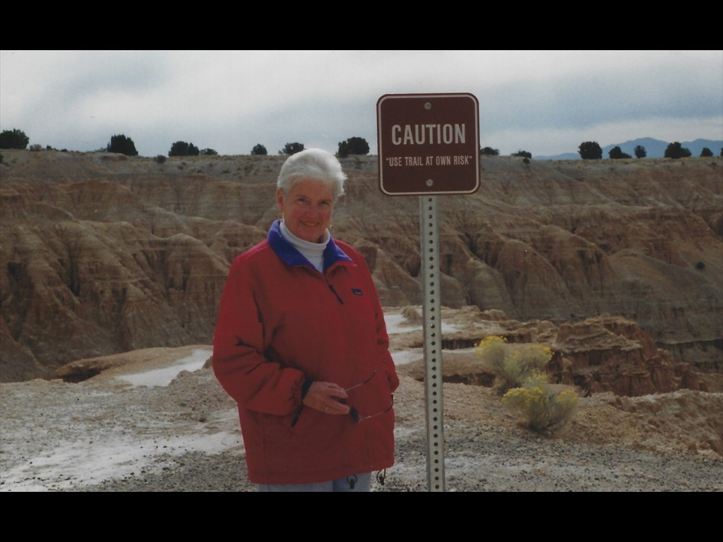 Take Trail At Own Risk - Great Basin